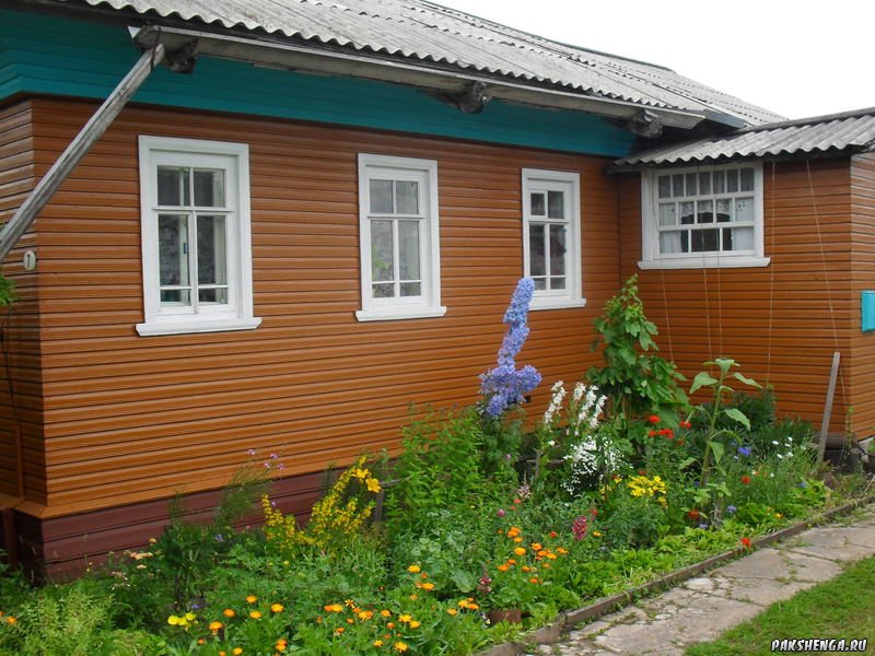 Конкурс "Уютный дворик". Июль 2012 год.